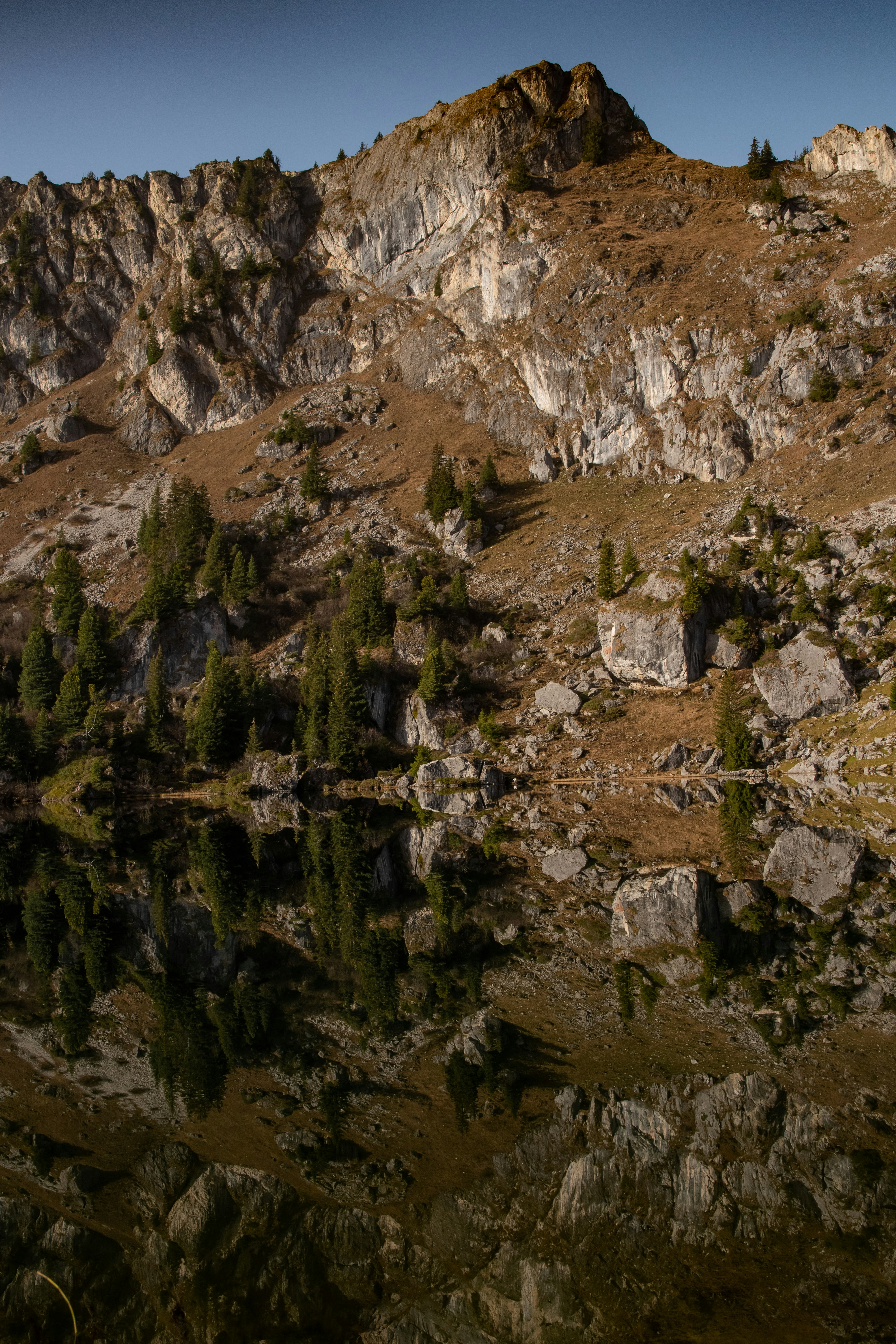 green trees on brown rocky mountain during daytime